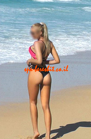 האחד והיחיד, מדהים, אני מחפש חבר.